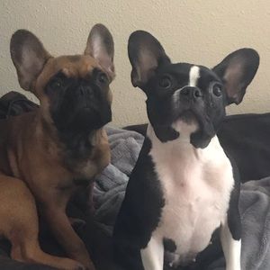 Meet your Posher, Marlene